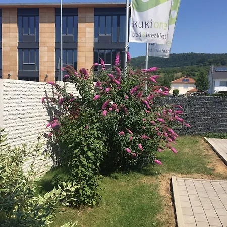 Outlet - Metzingen - Bad Urach - Free Parking Nocleg ze śniadaniem Dettingen an der Erms
